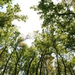 Oasiria développement durable, entreprise éco-responsable